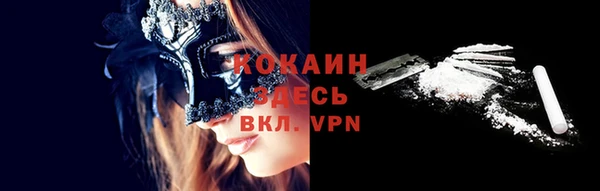 кокс Арсеньев